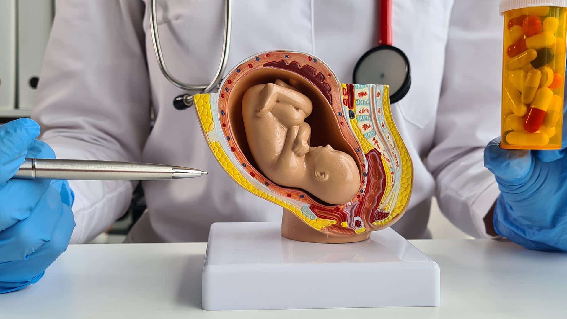 Obstetra explicando como tomar ácido fólico na gravidez